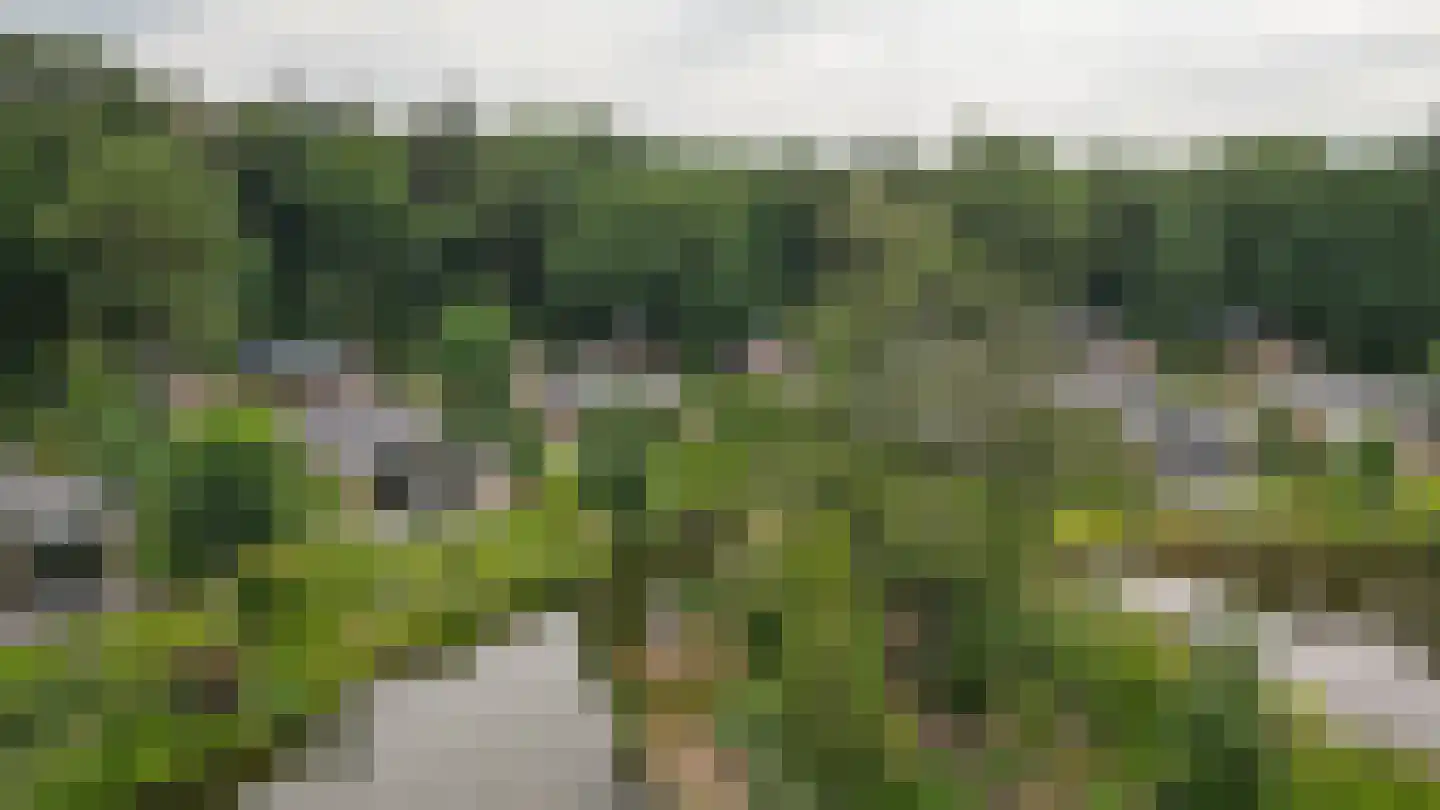 Laan van Laag Kanje 1 r 656 Maarn thumbnail 32