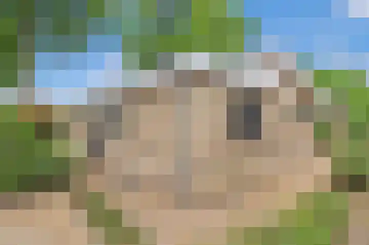 Laan van Laag Kanje 1 r 718 Maarn thumbnail 5