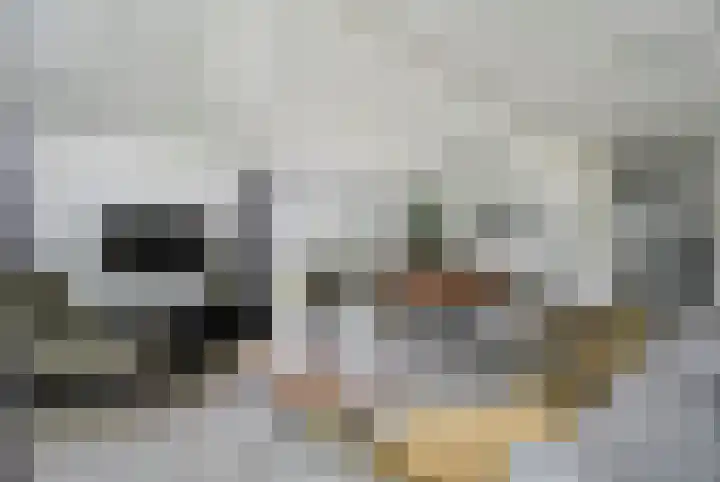 Laan van Laag Kanje 1 r 718 Maarn thumbnail 8