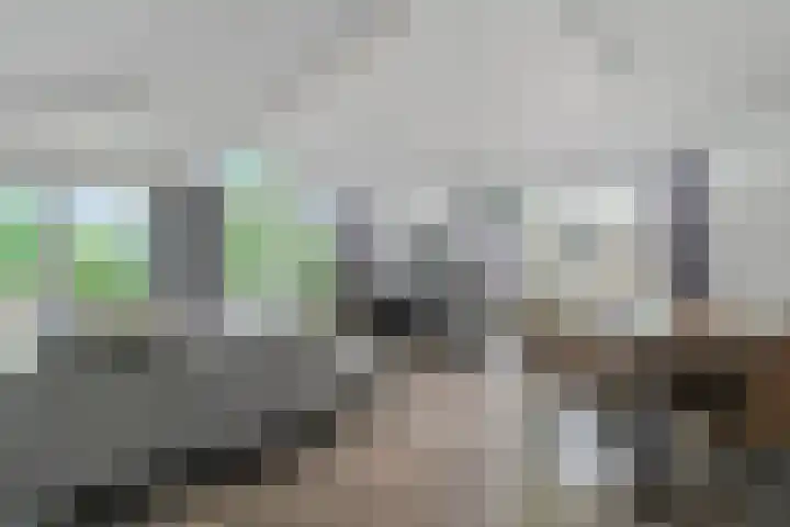 Laan van Laag Kanje 1 r 718 Maarn thumbnail 9