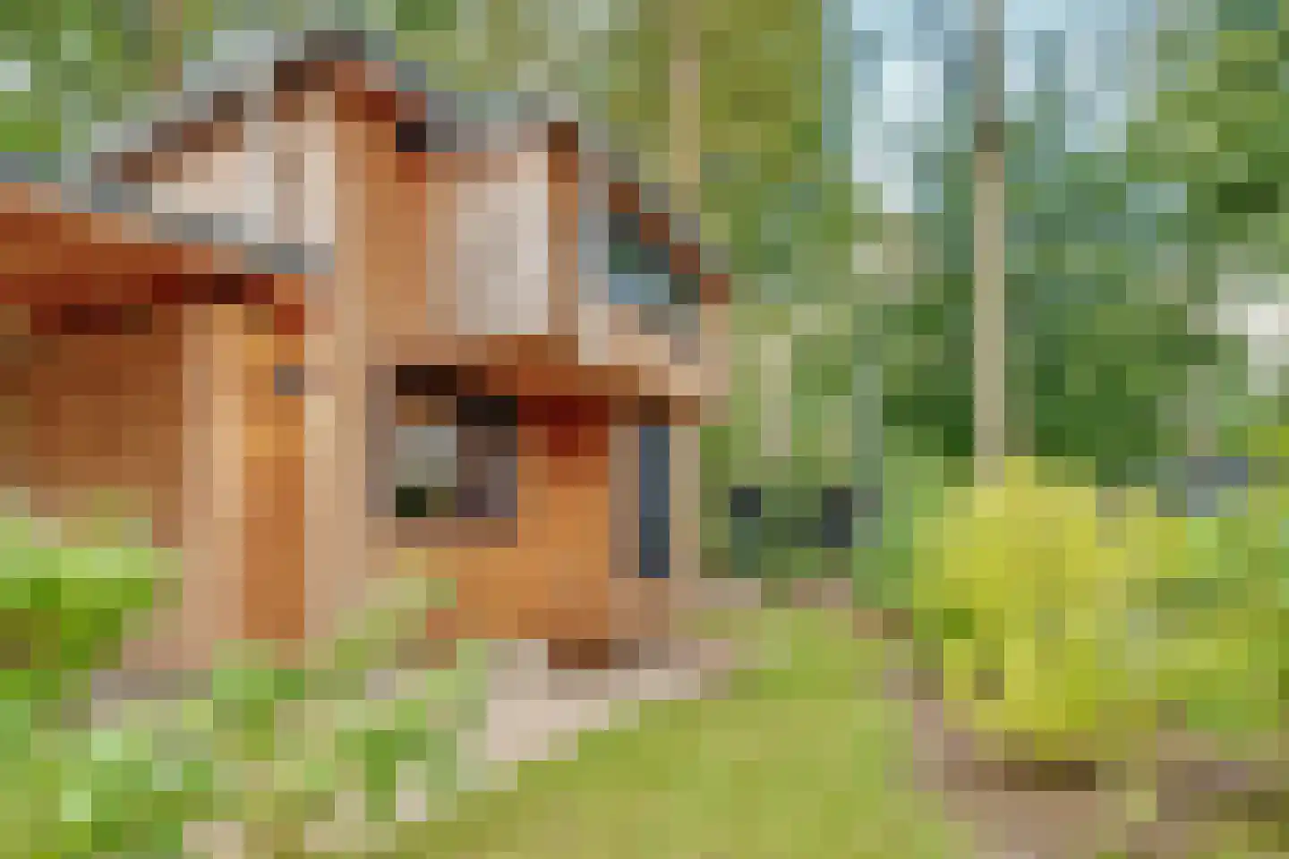 Laan van Laag Kanje 1 r1134 Maarn thumbnail 5