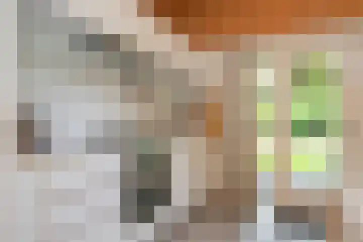 Laan van Laag Kanje 13 r 1 Maarn thumbnail 15