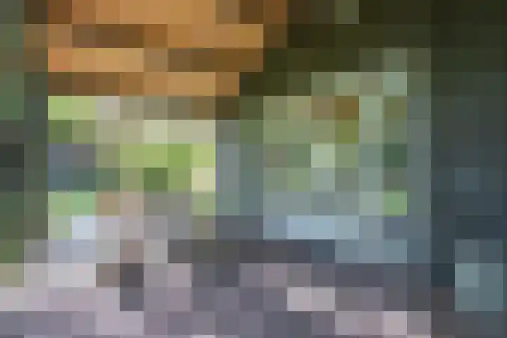 Laan van Laag Kanje 13 r 1 Maarn thumbnail 26
