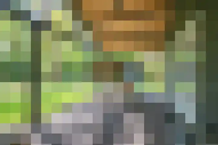 Laan van Laag Kanje 13 r 1 Maarn thumbnail 27