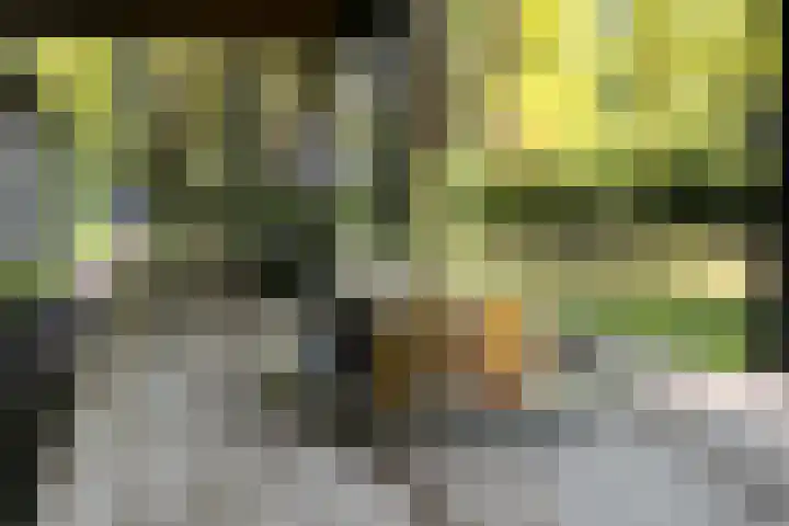 Laan van Laag Kanje 13 r 1 Maarn thumbnail 28