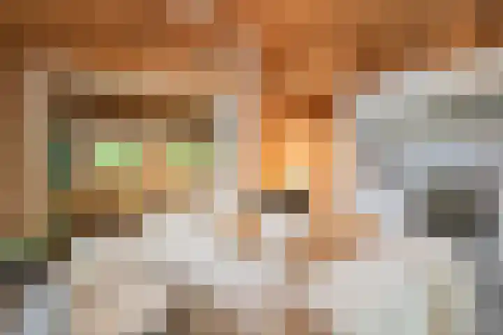 Laan van Laag Kanje 13 r 1 Maarn foto 3