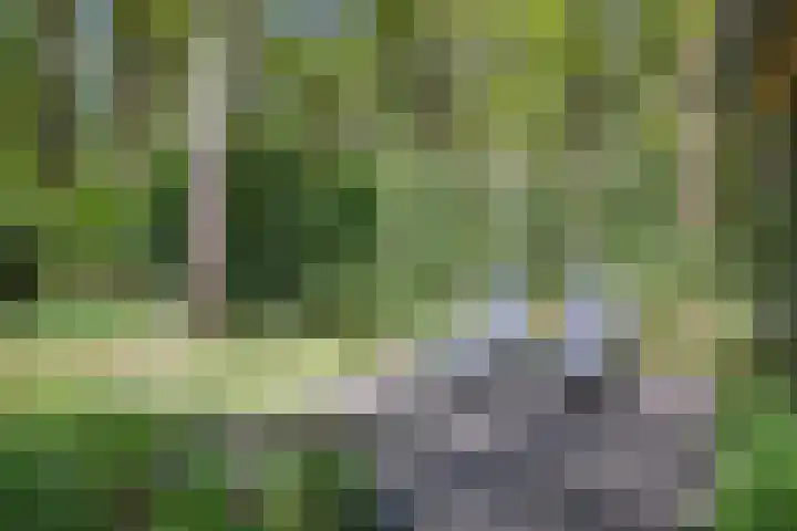 Laan van Laag Kanje 13 r 1 Maarn thumbnail 31