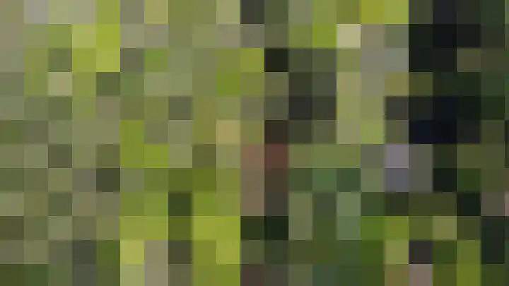 Laan van Laag Kanje 13 r 1 Maarn thumbnail 32