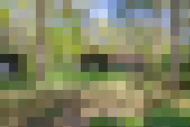 Laan van Laag Kanje 13 r 1 Maarn thumbnail 34