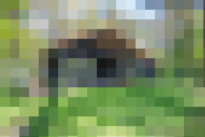Laan van Laag Kanje 13 r 1 Maarn thumbnail 35