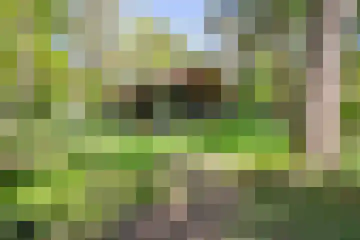 Laan van Laag Kanje 13 r 1 Maarn thumbnail 36