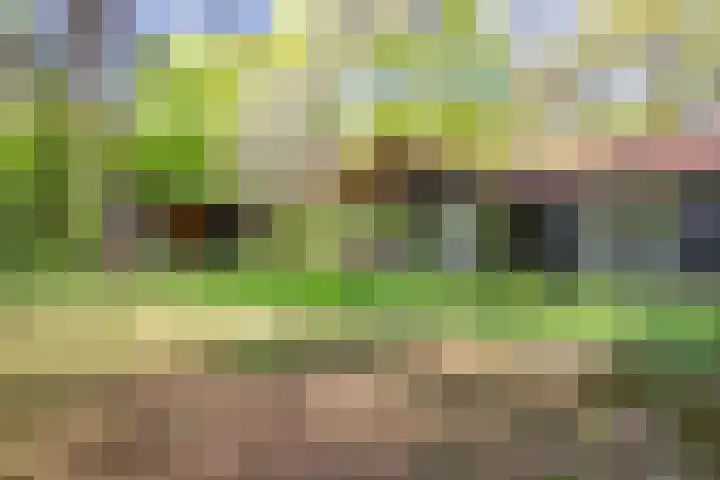 Laan van Laag Kanje 13 r 1 Maarn thumbnail 37