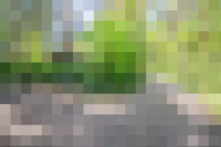 Laan van Laag Kanje 13 r 1 Maarn thumbnail 38