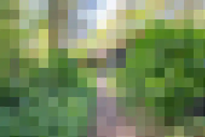 Laan van Laag Kanje 13 r 1 Maarn thumbnail 39
