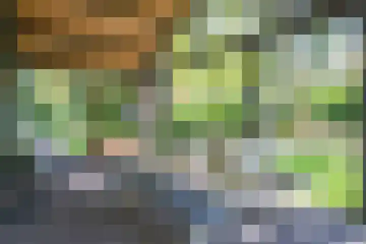 Laan van Laag Kanje 13 r 1 Maarn thumbnail 4