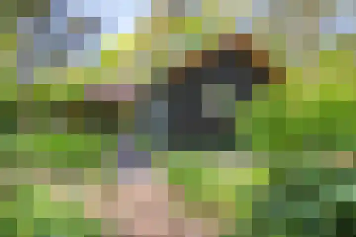 Laan van Laag Kanje 13 r 1 Maarn thumbnail 40
