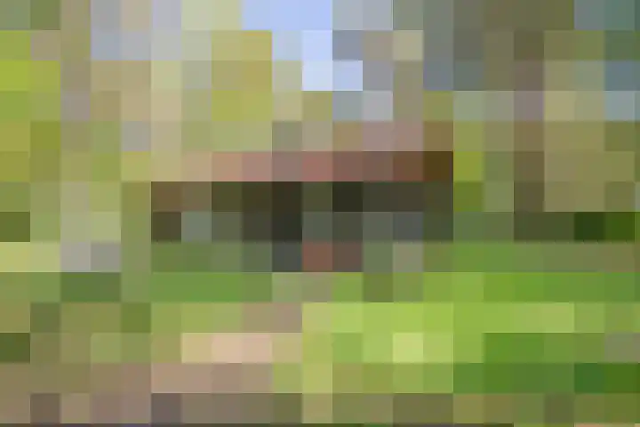 Laan van Laag Kanje 13 r 1 Maarn thumbnail 42