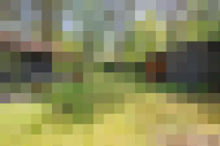 Laan van Laag Kanje 13 r 1 Maarn thumbnail 43