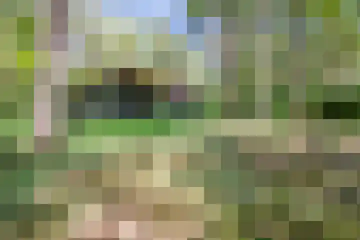 Laan van Laag Kanje 13 r 1 Maarn thumbnail 5
