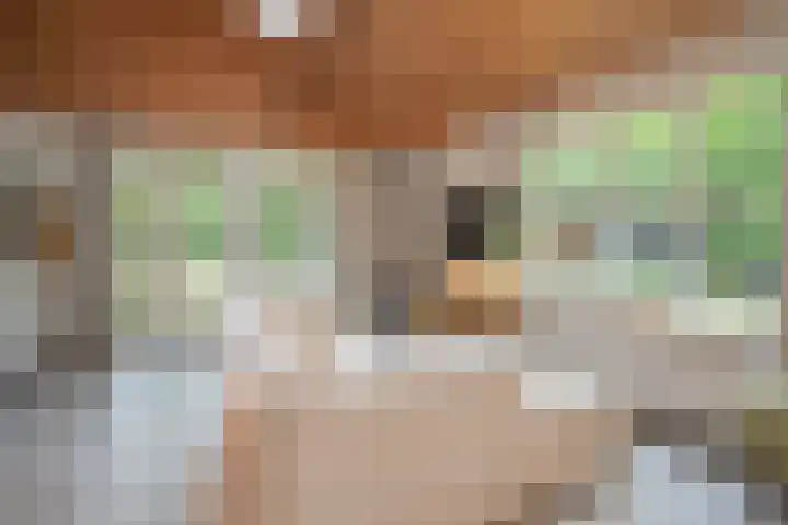 Laan van Laag Kanje 13 r 1 Maarn thumbnail 9