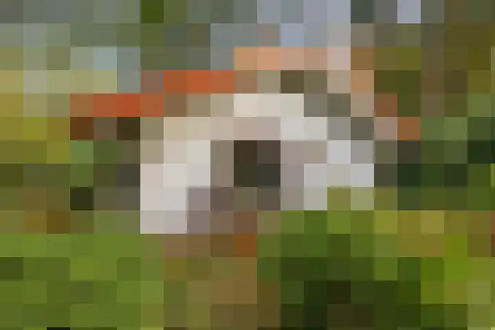 Laan van Laag Kanje 16 r 1 Maarn thumbnail 32