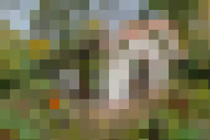 Laan van Laag Kanje 16 r 1 Maarn thumbnail 33