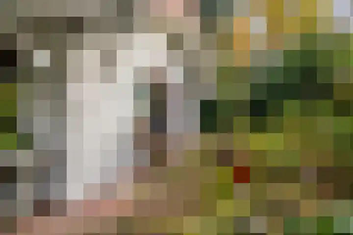 Laan van Laag Kanje 16 r 1 Maarn thumbnail 34