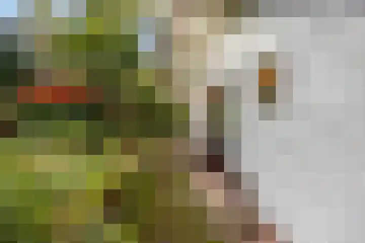 Laan van Laag Kanje 16 r 1 Maarn thumbnail 35