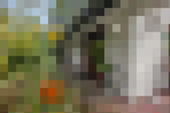 Laan van Laag Kanje 16 r 1 Maarn thumbnail 36
