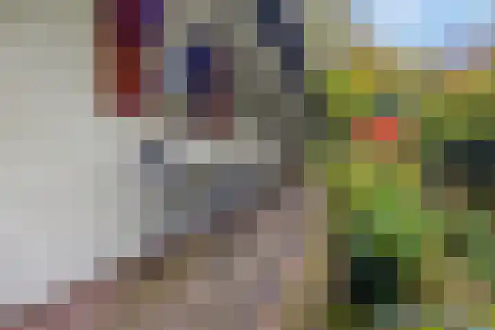 Laan van Laag Kanje 16 r 1 Maarn thumbnail 37