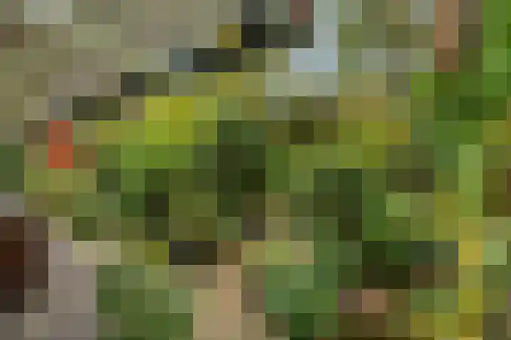Laan van Laag Kanje 16 r 1 Maarn thumbnail 38