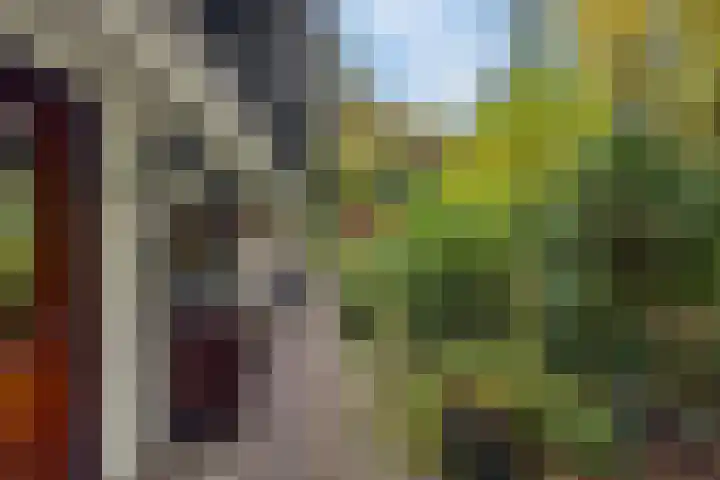 Laan van Laag Kanje 16 r 1 Maarn thumbnail 4