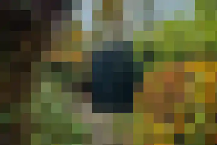 Laan van Laag Kanje 16 r 1 Maarn thumbnail 40
