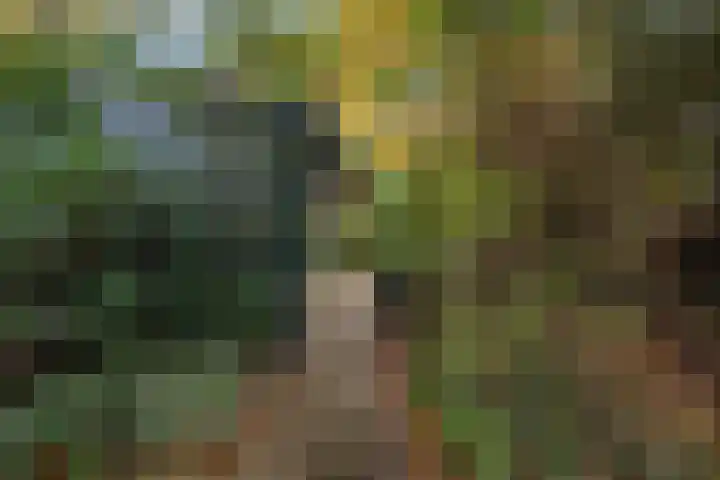 Laan van Laag Kanje 16 r 1 Maarn thumbnail 41