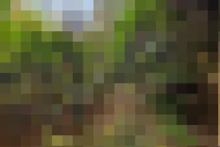 Laan van Laag Kanje 16 r 1 Maarn thumbnail 42