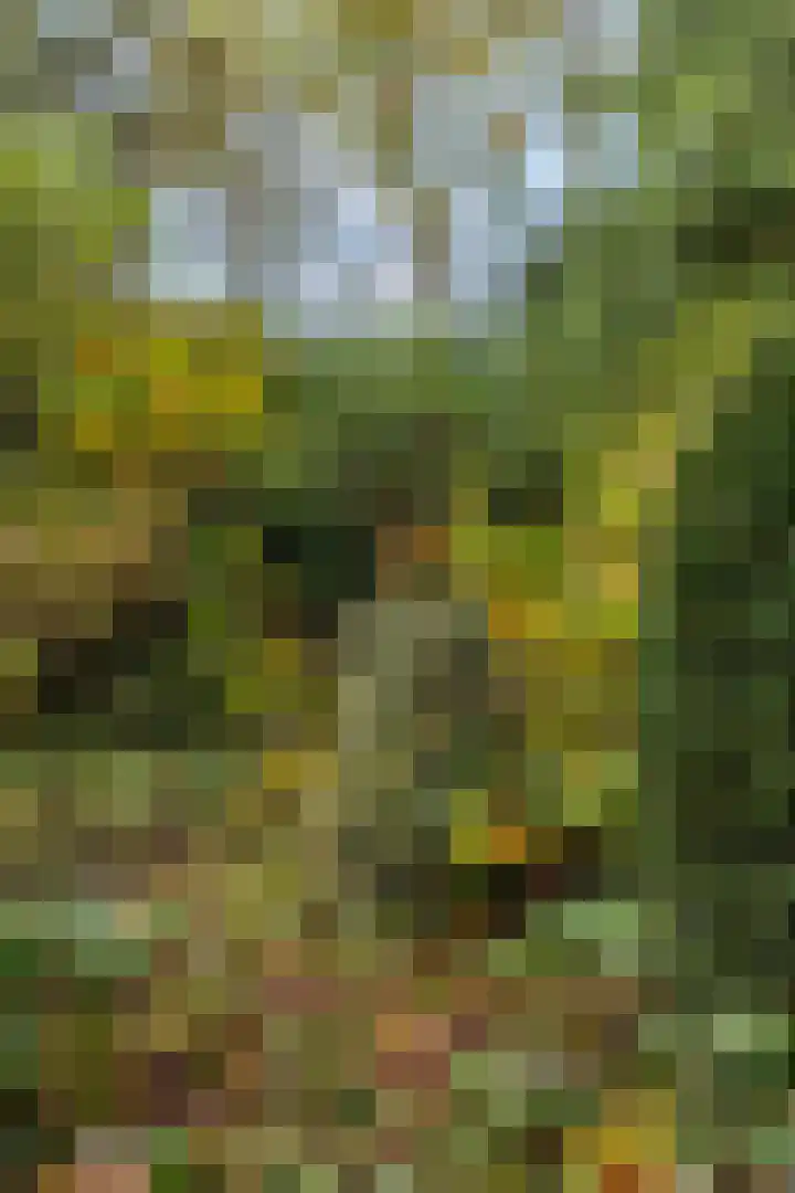 Laan van Laag Kanje 16 r 1 Maarn thumbnail 43