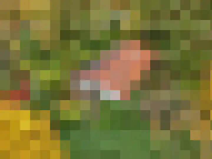 Laan van Laag Kanje 16 r 1 Maarn thumbnail 46