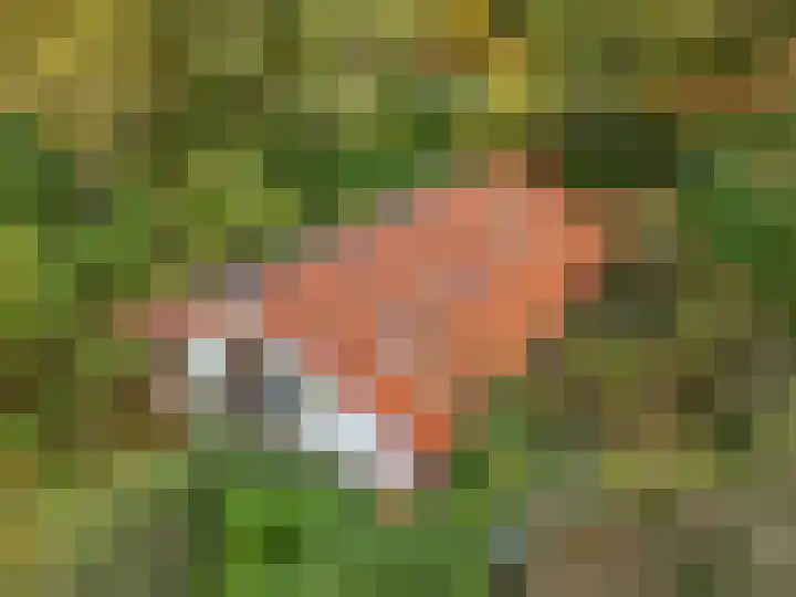 Laan van Laag Kanje 16 r 1 Maarn thumbnail 52
