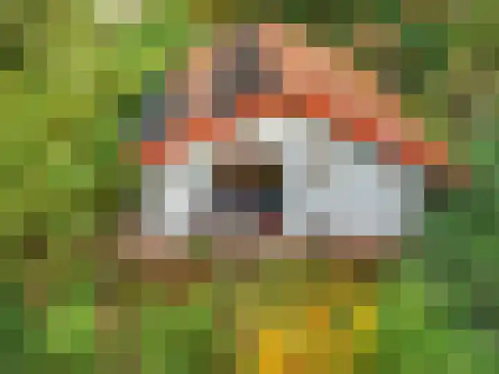Laan van Laag Kanje 16 r 1 Maarn thumbnail 53