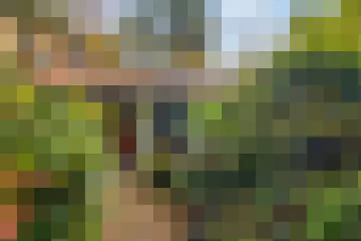 Laan van Laag Kanje 16 r 1 Maarn thumbnail 55