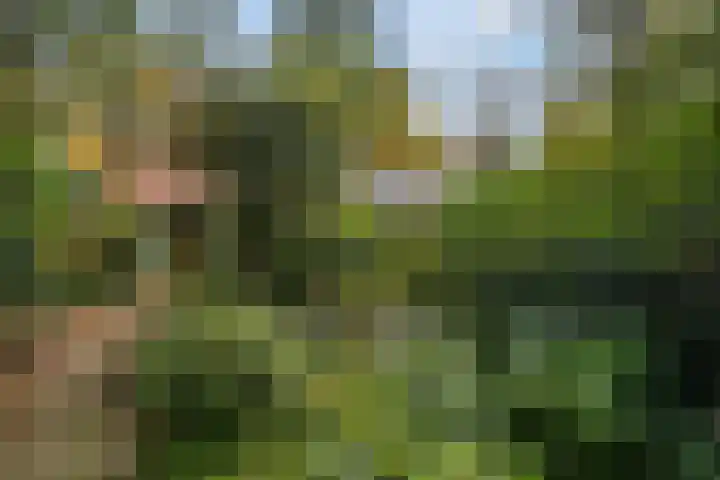 Laan van Laag Kanje 16 r 1 Maarn thumbnail 56