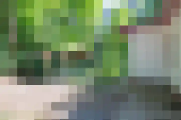 Laan van Laag Kanje 36 r 1 Maarn thumbnail 19