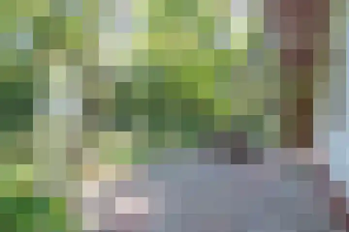Laan van Laag Kanje 36 r 1 Maarn thumbnail 22