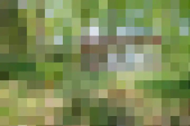 Laan van Laag Kanje 36 r 1 Maarn thumbnail 26