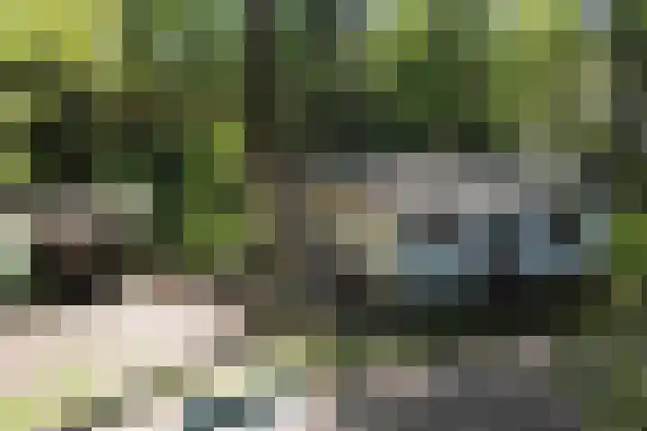 Laan van Laag Kanje 36 r 1 Maarn thumbnail 28