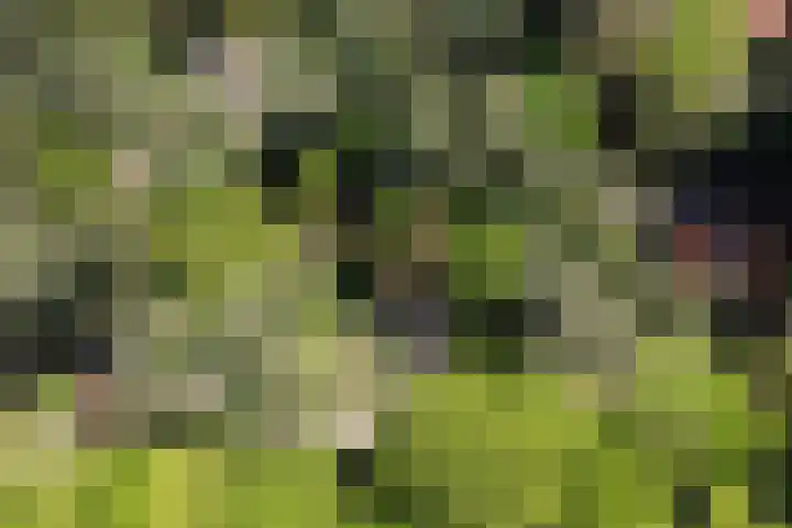 Laan van Laag Kanje 36 r 1 Maarn thumbnail 29
