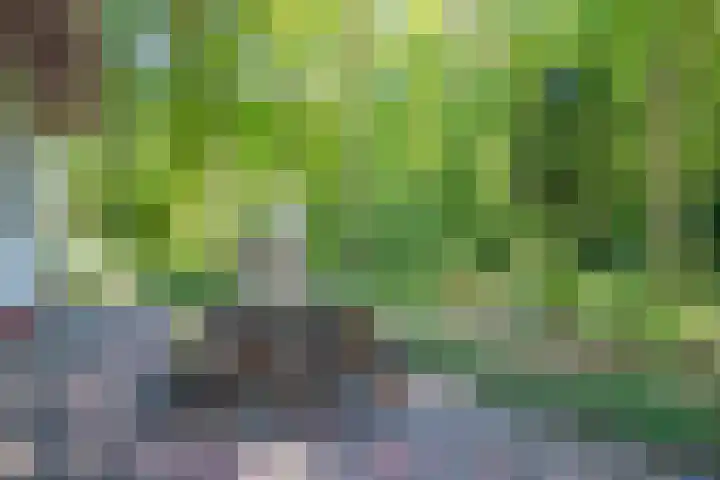 Laan van Laag Kanje 36 r 1 Maarn thumbnail 31