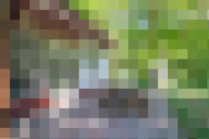 Laan van Laag Kanje 36 r 1 Maarn thumbnail 4