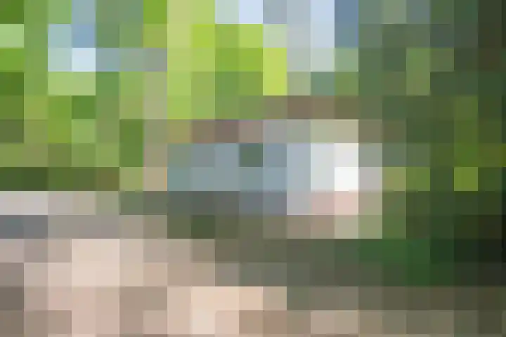 Laan van Laag Kanje 36 r 1 Maarn thumbnail 5