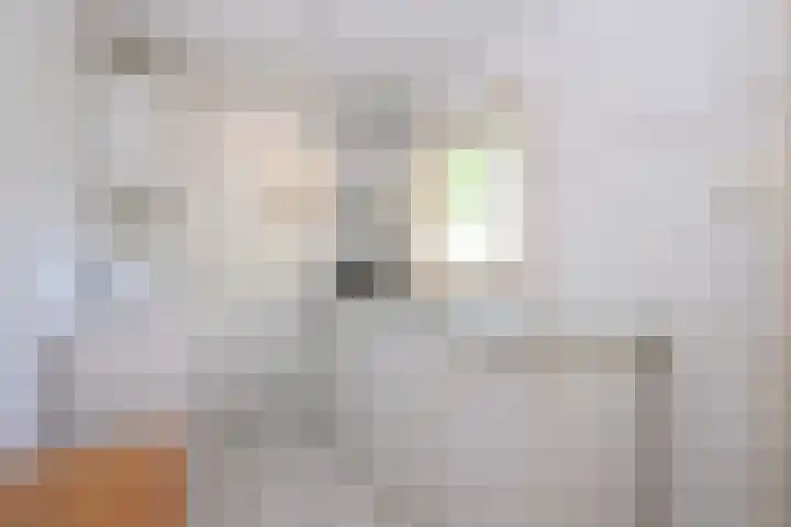 Laan van Laag Kanje 36 r 1 Maarn thumbnail 8